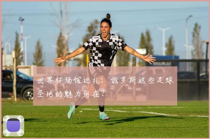 世界杯场馆巡礼：俄罗斯这些足球圣地的魅力何在？