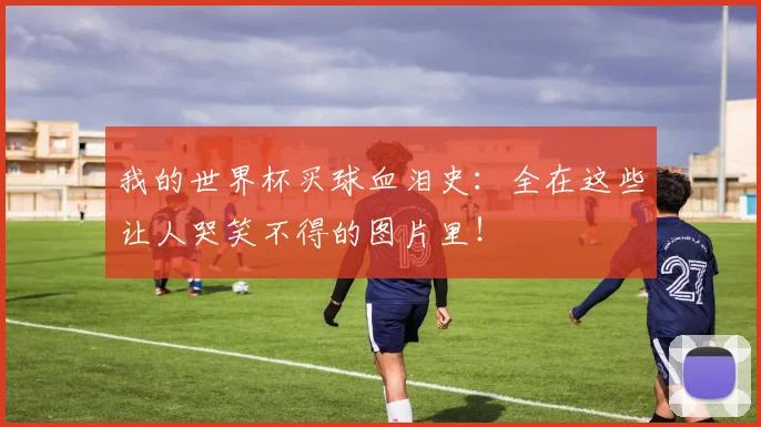 我的世界杯买球血泪史：全在这些让人哭笑不得的图片里！